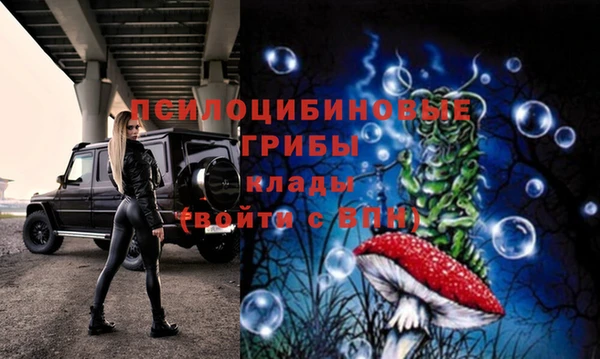 трава Костерёво