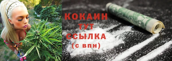 трава Костерёво