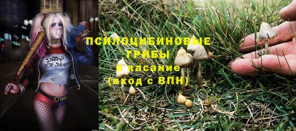 метадон Коряжма