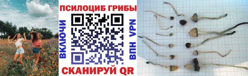 Псилоцибиновые грибы MAGIC MUSHROOMS  Шацк 